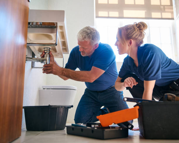 Best Clogged Drain Plumber  in Hudson, IA